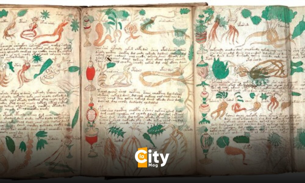 Il manoscritto di Voynich