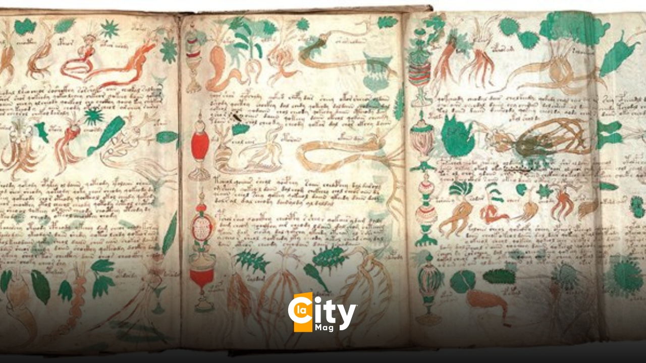 Il manoscritto di Voynich